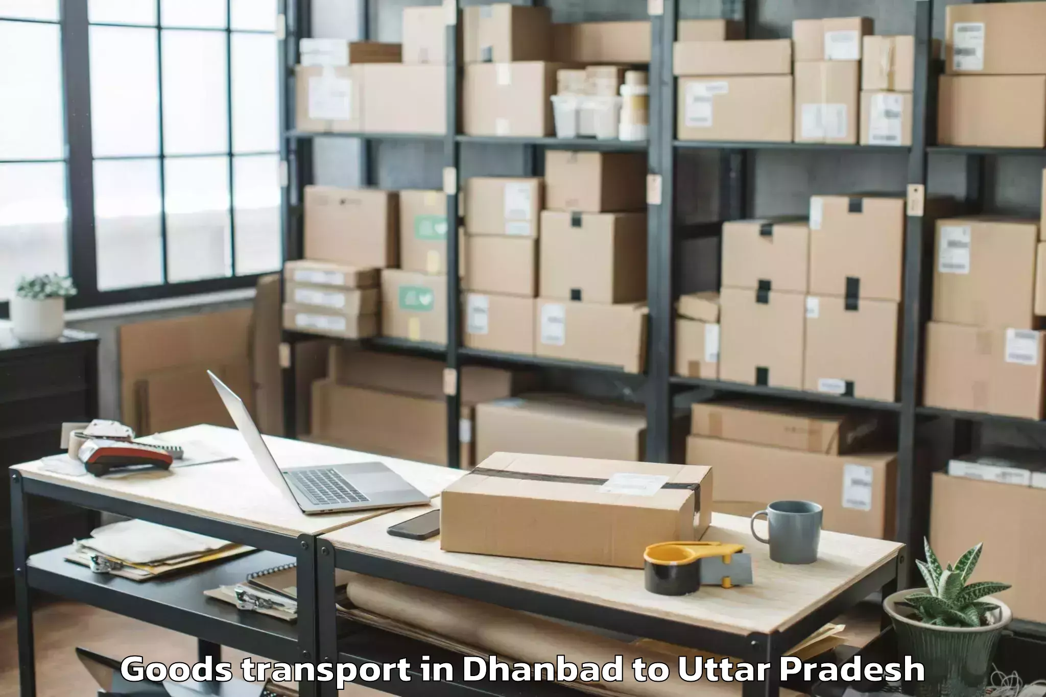 Expert Dhanbad to Bilari Goods Transport